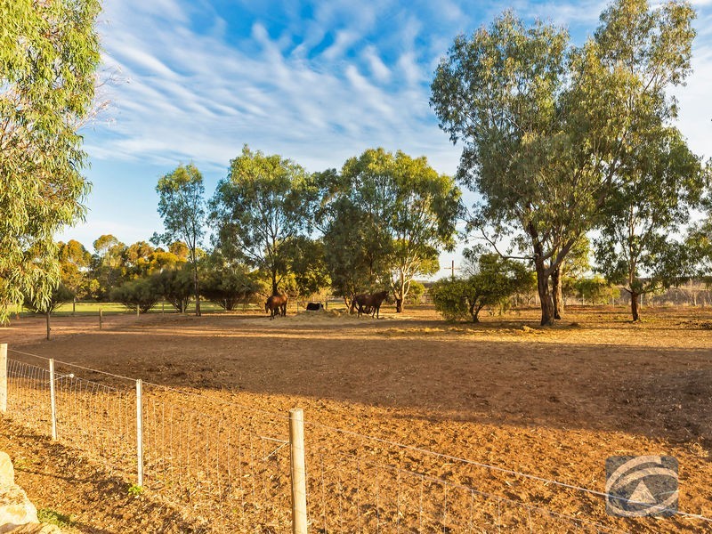 7 Hendo Place, Two Wells SA 5501