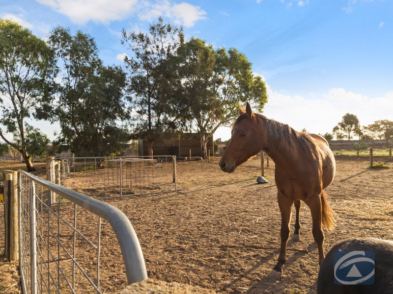 7 Hendo Place, Two Wells SA 5501