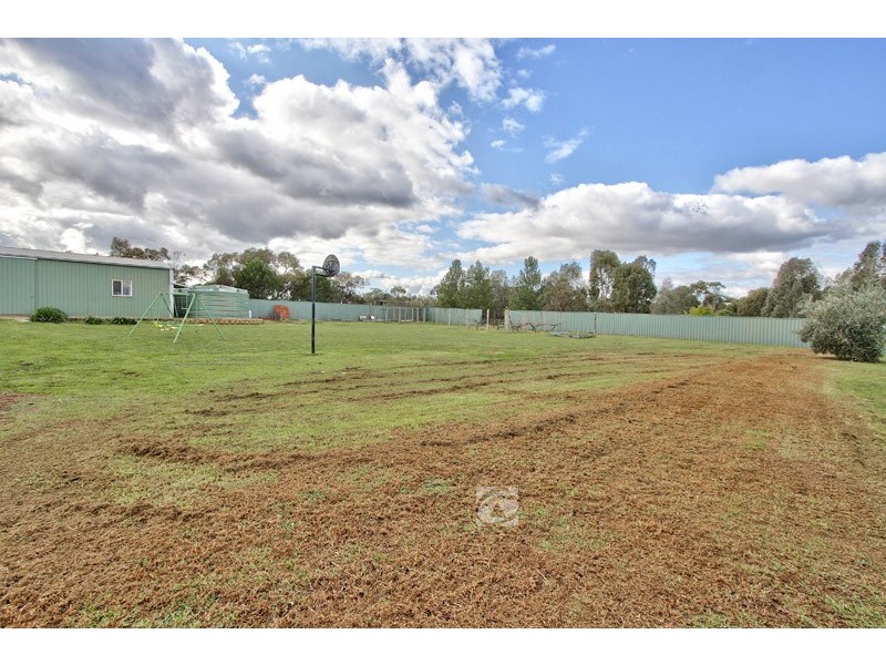 11 Horseshoe Drive, Roseworthy SA 5371