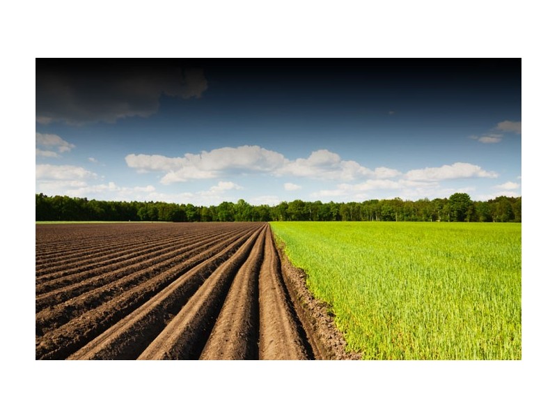 Lot 131 Clover Court, Virginia SA 5120