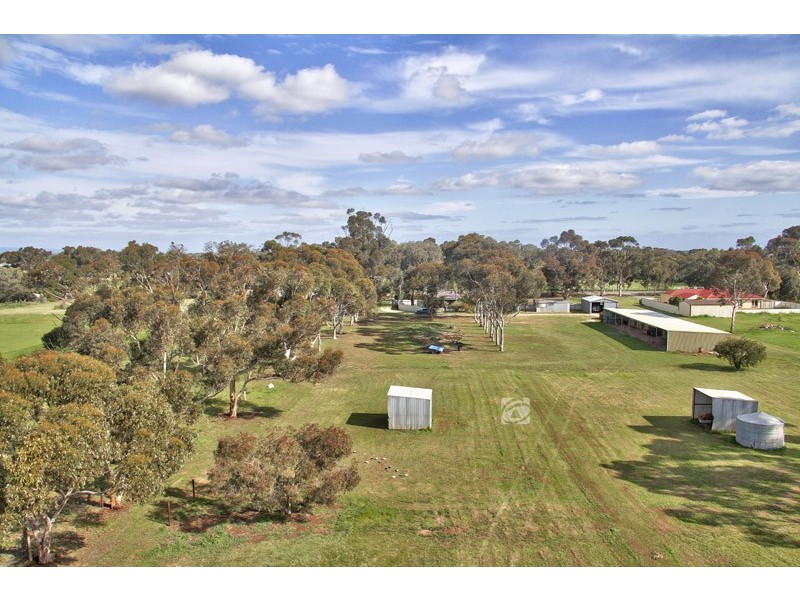 25 Ramsay Road, Virginia SA 5120