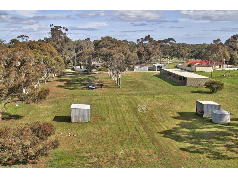 25 Ramsay Road, Virginia SA 5120