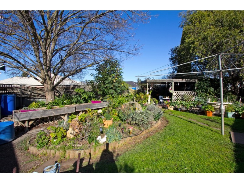 38 Borrow Street, Freeling SA 5372