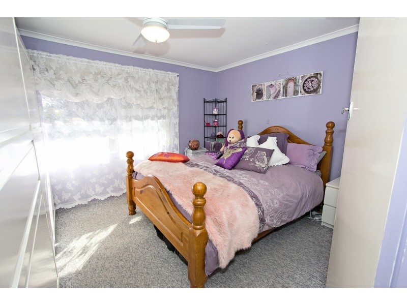 38 Borrow Street, Freeling SA 5372