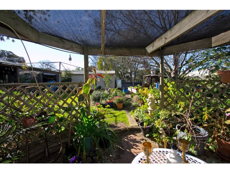 38 Borrow Street, Freeling SA 5372