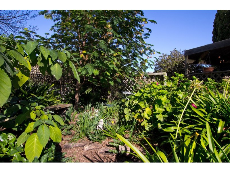 38 Borrow Street, Freeling SA 5372