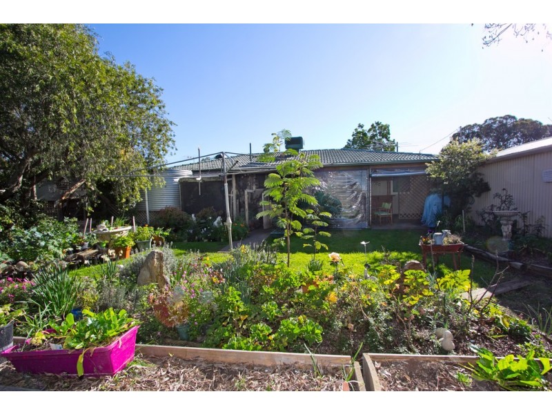 38 Borrow Street, Freeling SA 5372