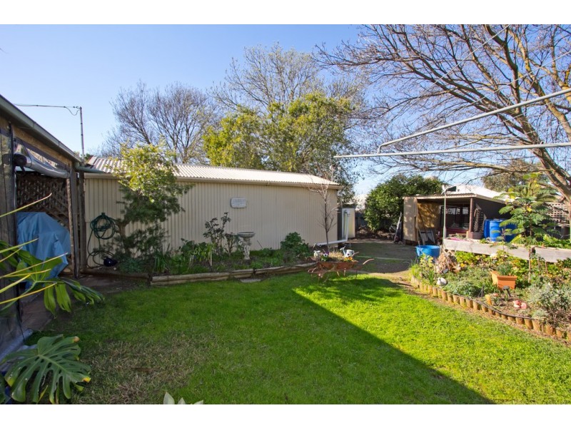 38 Borrow Street, Freeling SA 5372