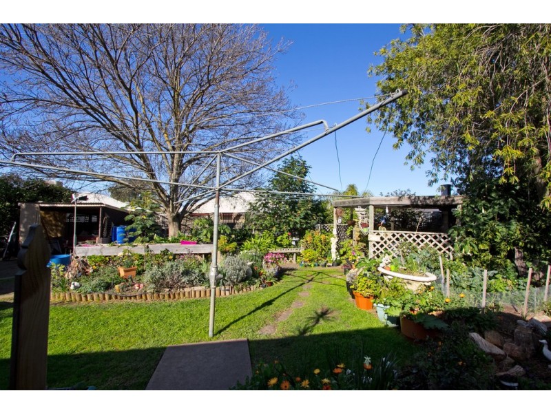 38 Borrow Street, Freeling SA 5372