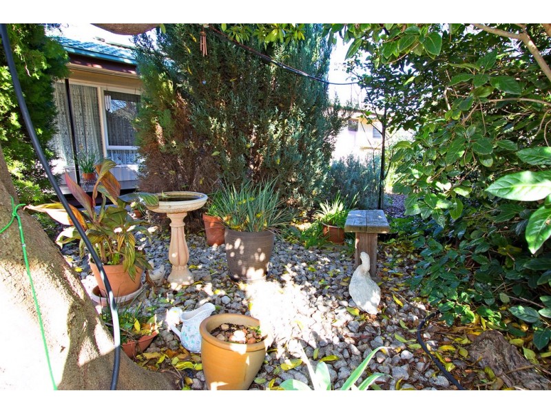 38 Borrow Street, Freeling SA 5372