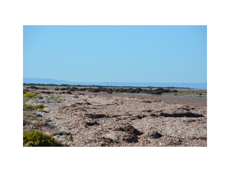4. Stint Avenue, Thompson Beach SA 5501