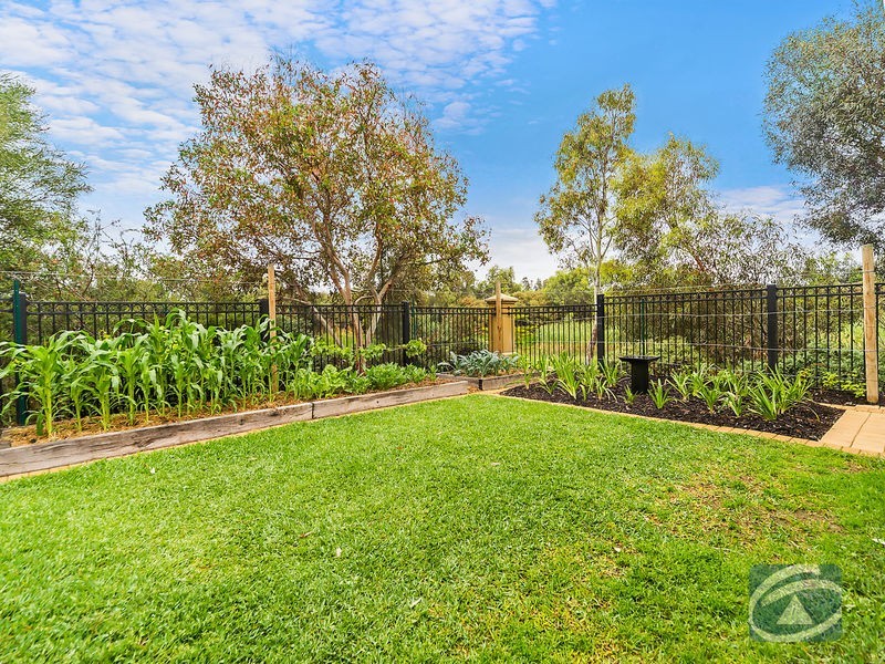 104 Sanctuary Drive, Mawson Lakes SA 5095