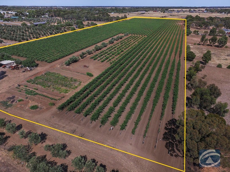 Lot 20 Pederick Road, Lewiston SA 5501