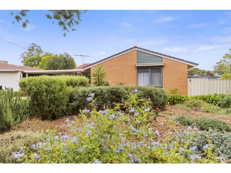 12 Willison Avenue, Evanston SA 5116