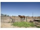 698 Harris Road, Wasleys SA 5400