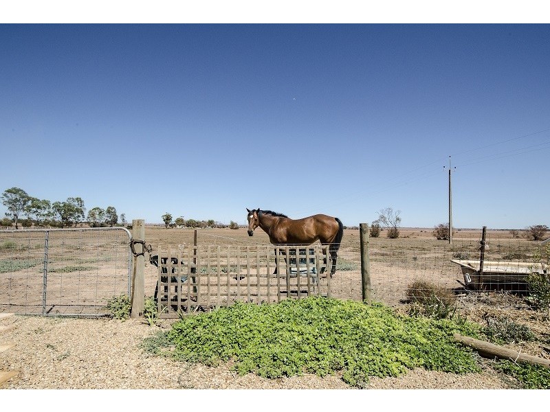 698 Harris Road, Wasleys SA 5400