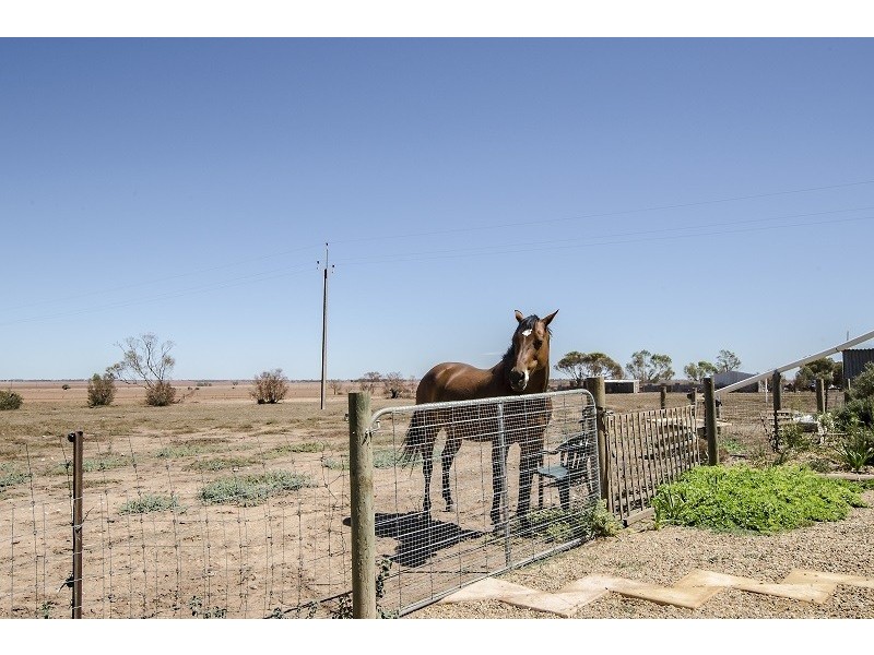 698 Harris Road, Wasleys SA 5400