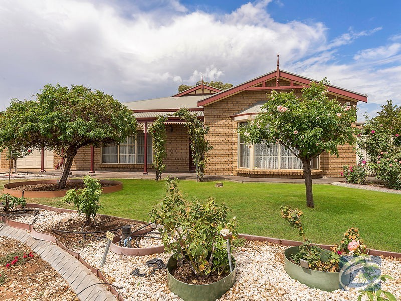 12 Cartwright Drive, Munno Para West SA 5115