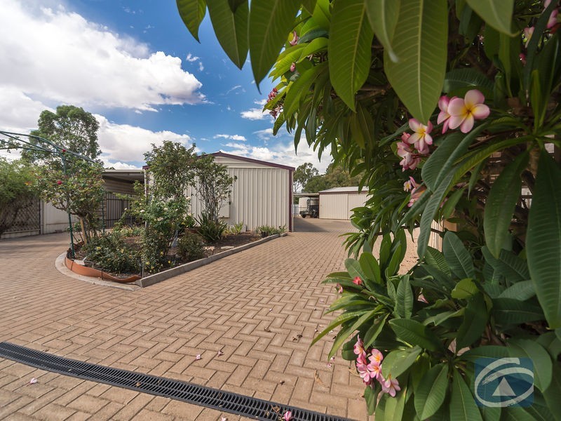 12 Cartwright Drive, Munno Para West SA 5115