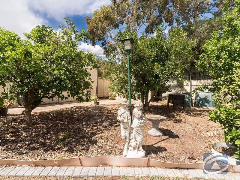 12 Cartwright Drive, Munno Para West SA 5115