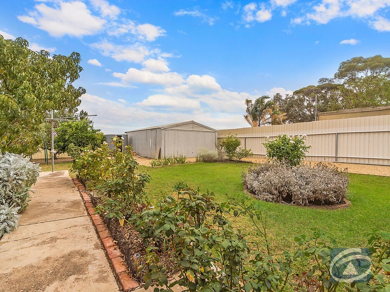 29 Derby Street, Freeling SA 5372