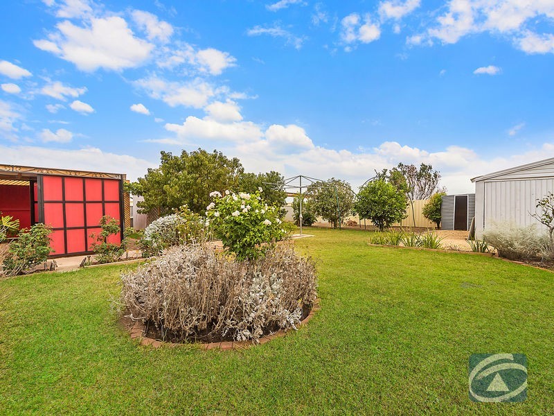 29 Derby Street, Freeling SA 5372