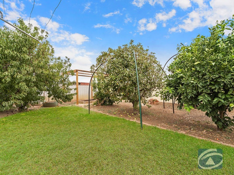 29 Derby Street, Freeling SA 5372