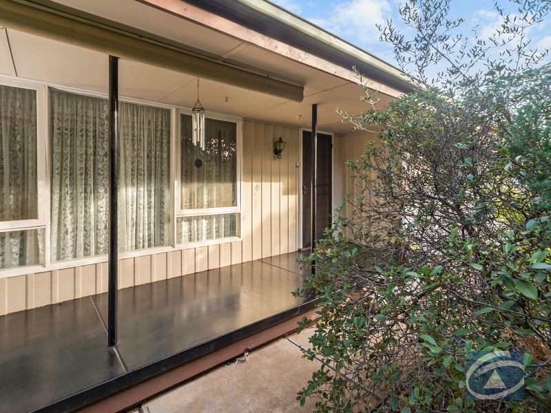 38. Borrow Street, Freeling SA 5372