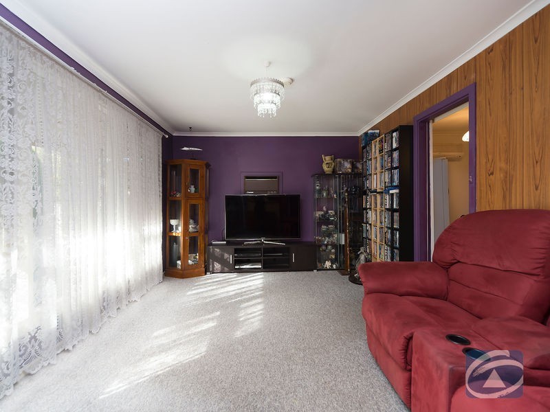 38. Borrow Street, Freeling SA 5372