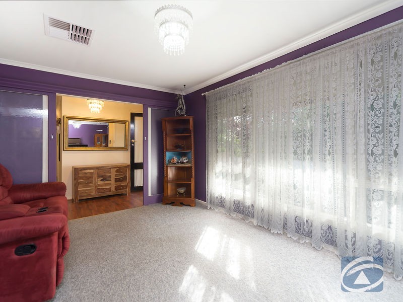 38. Borrow Street, Freeling SA 5372