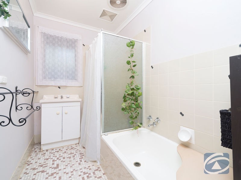 38. Borrow Street, Freeling SA 5372