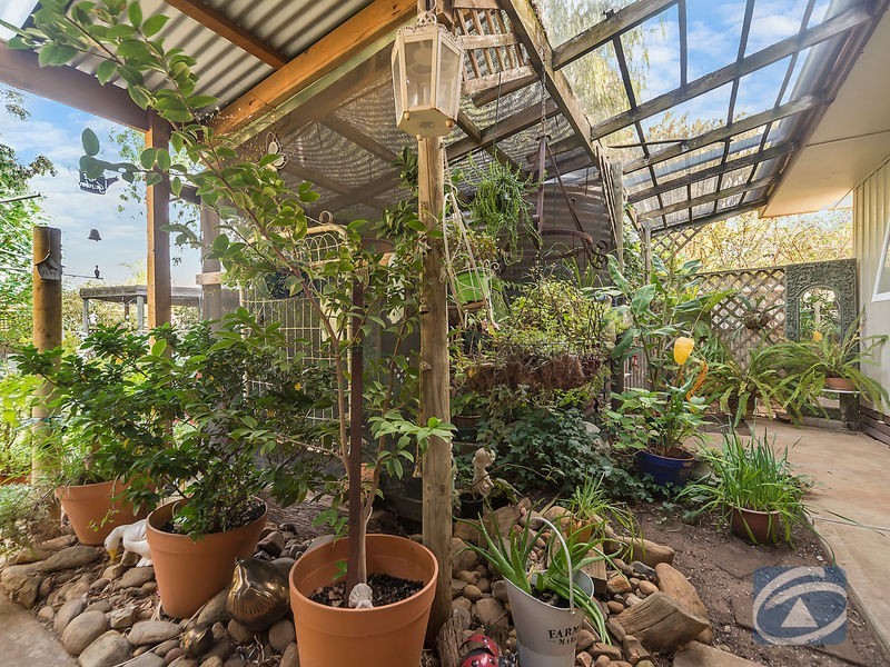 38. Borrow Street, Freeling SA 5372