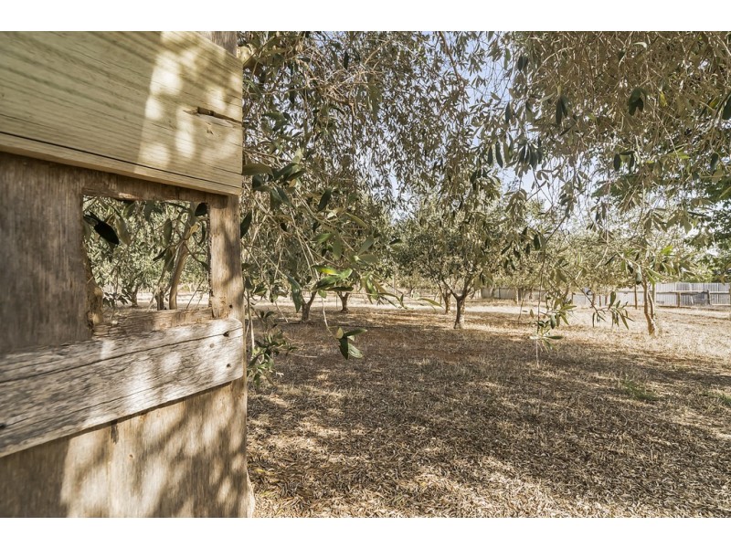 51 Westdown Road, Evanston Park SA 5116