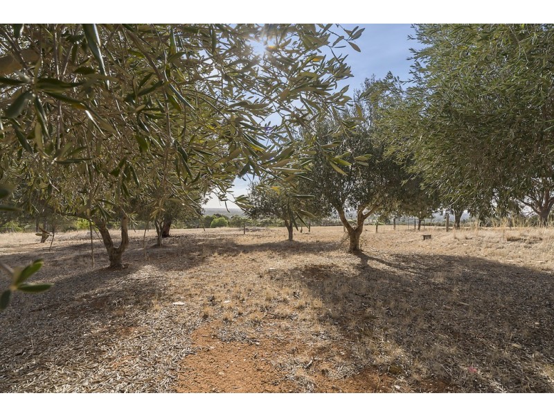 51 Westdown Road, Evanston Park SA 5116