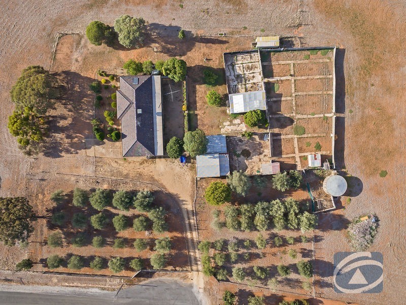 51 Westdown Road, Evanston Park SA 5116