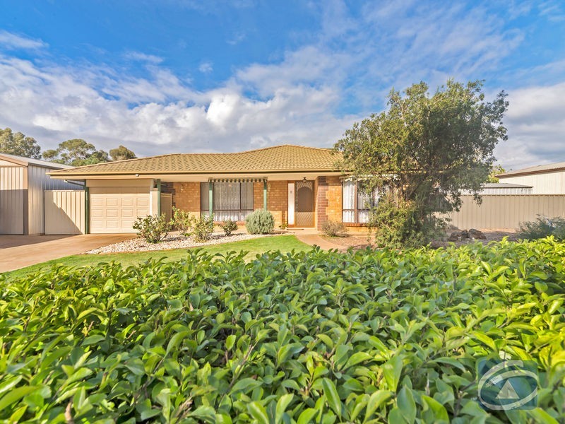 29 Edward Crescent, Evanston Park SA 5116