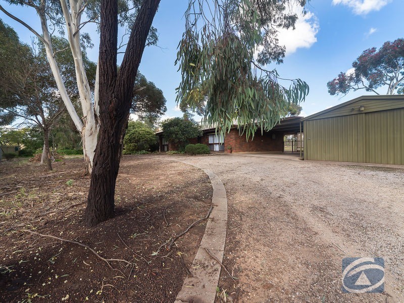 3 Eucalypt Drive, Gawler East SA 5118