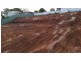 62 Paxton Street, Willaston SA 5118