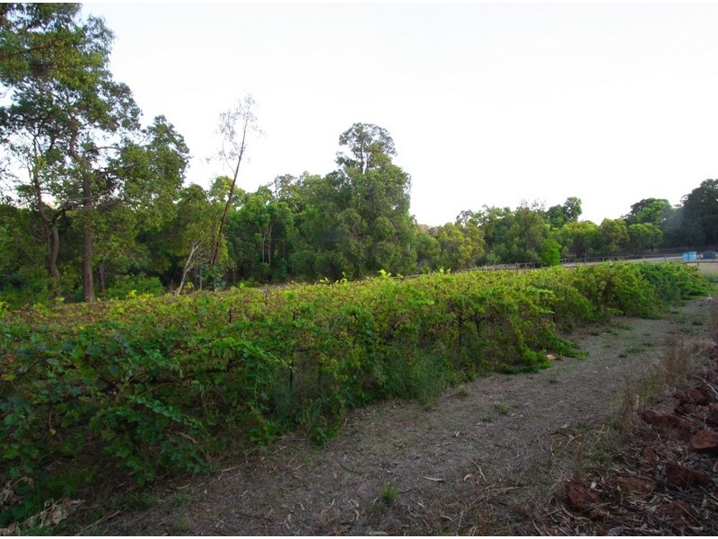 234 Stanhope Road, Walliston WA 6076