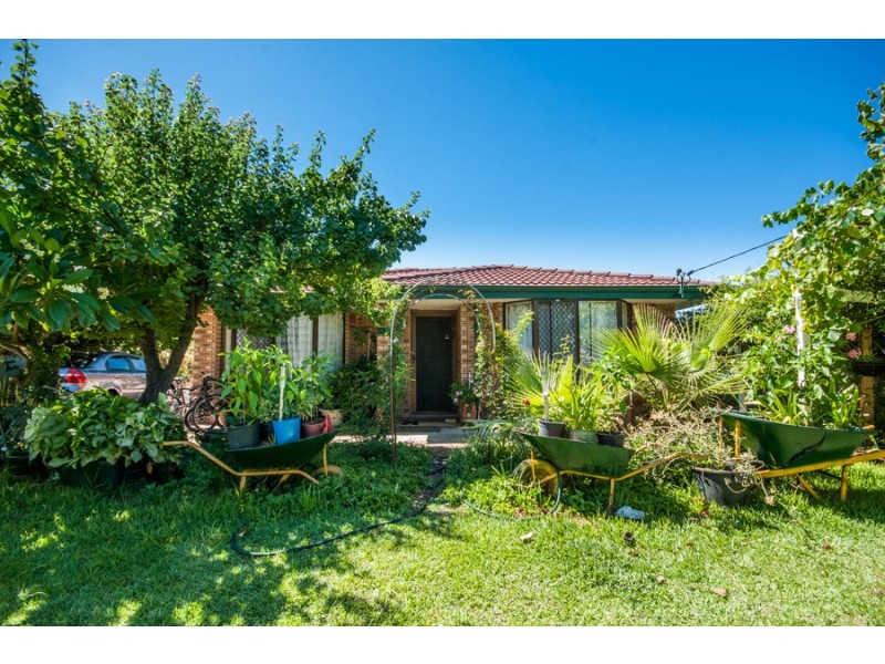 41 Hamilton Street, Cannington WA 6107