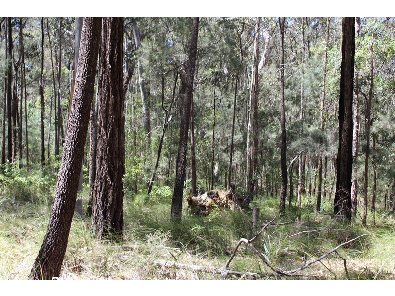 38 Margaret Drive, Batemans Bay NSW 2536