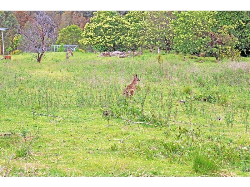 13 Mary Place, Long Beach NSW 2536