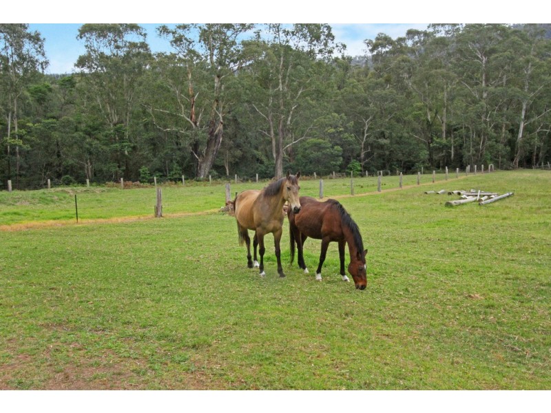 1304 Quart Pot Road, Buckenbowra NSW 2536