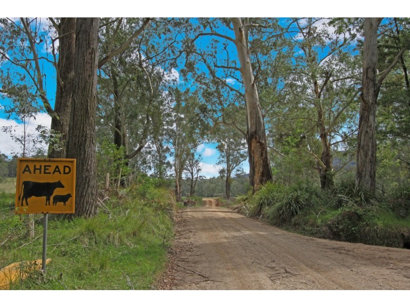 1304 Quart Pot Road, Buckenbowra NSW 2536