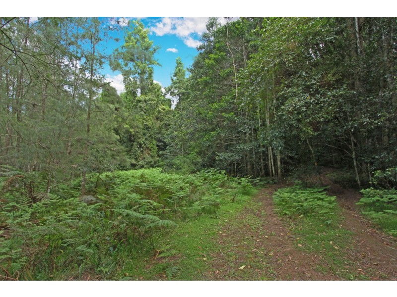 1304 Quart Pot Road, Buckenbowra NSW 2536