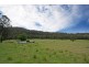 1304 Quart Pot Road, Batemans Bay NSW 2536