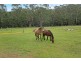 1304 Quart Pot Road, Batemans Bay NSW 2536