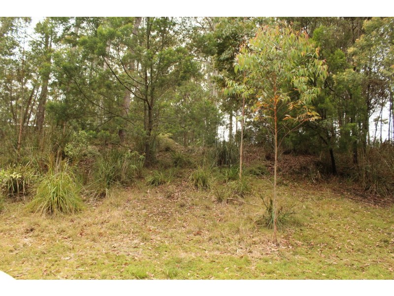 52 Litchfield Crescent, Long Beach NSW 2536