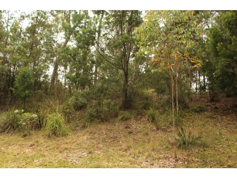 52 Litchfield Crescent, Long Beach NSW 2536