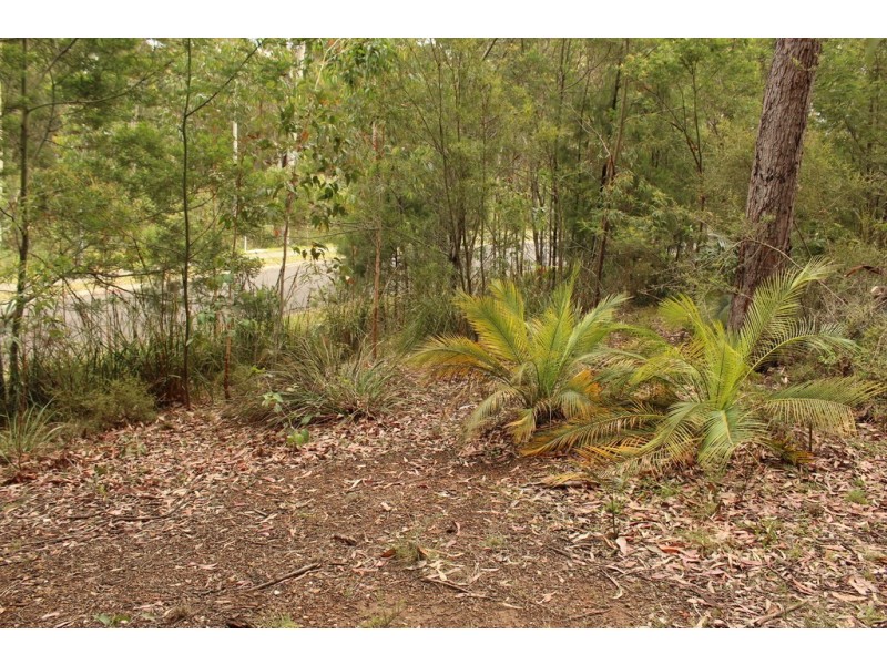 52 Litchfield Crescent, Long Beach NSW 2536
